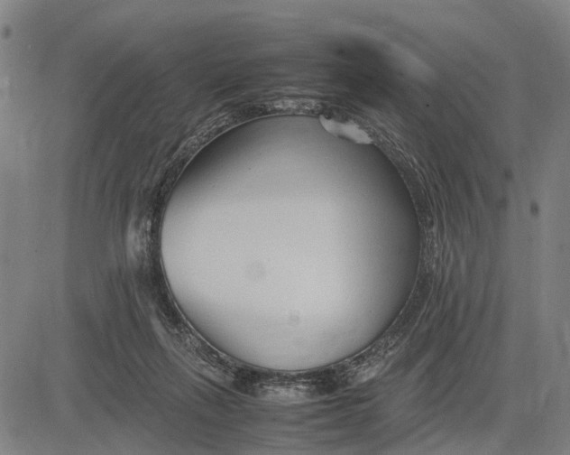 X0000083660263200703051759