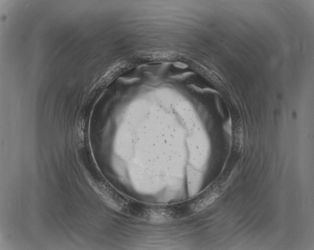 X0000083660264200703051759