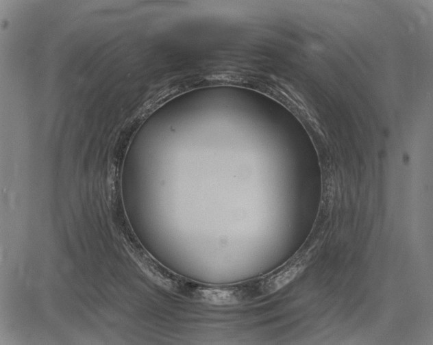 X0000083660265200703051759