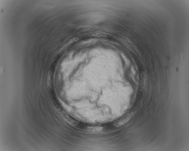 X0000083660266200703051759