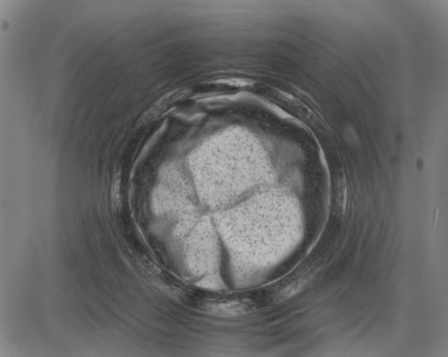 X0000083660267200703051759