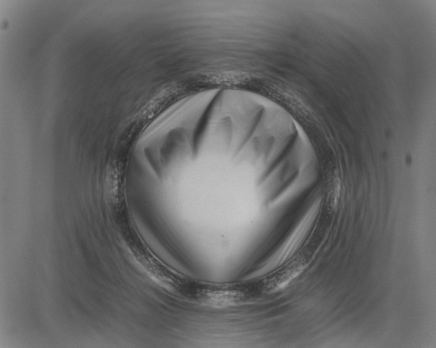 X0000083660268200703051759