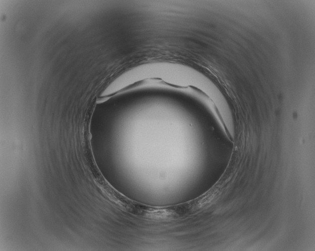 X0000083660269200703051759