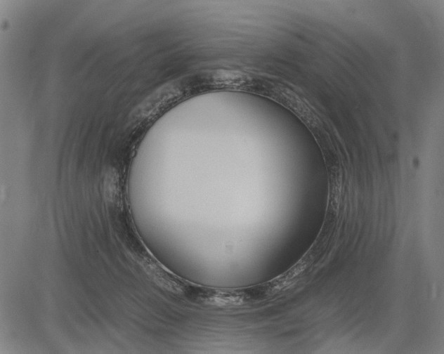 X0000083660270200703051759