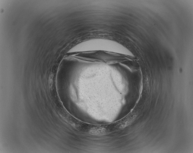 X0000083660271200703051759