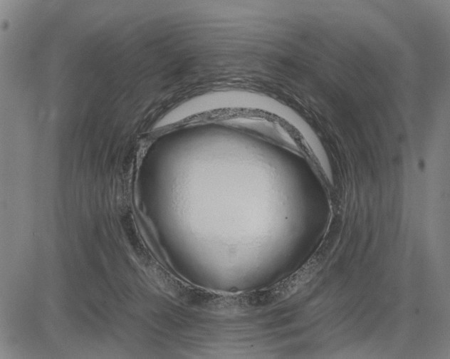 X0000083660272200703051759