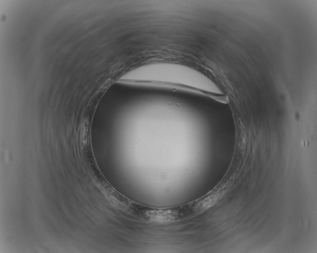 X0000083660273200703051759