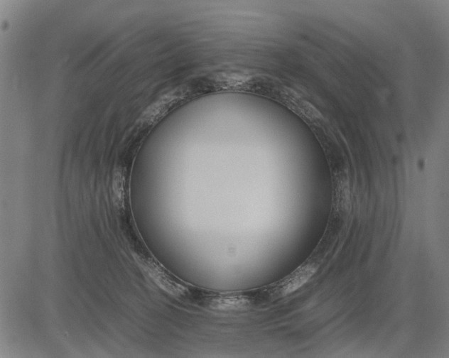 X0000083660274200703051759