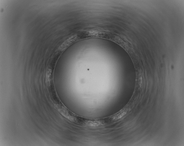 X0000083660275200703051759