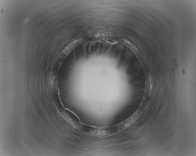 X0000083660276200703051759