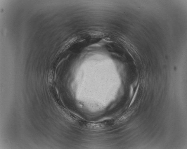 X0000083660277200703051759