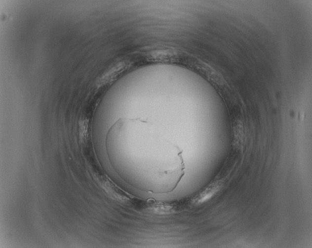 X0000083660278200703051759