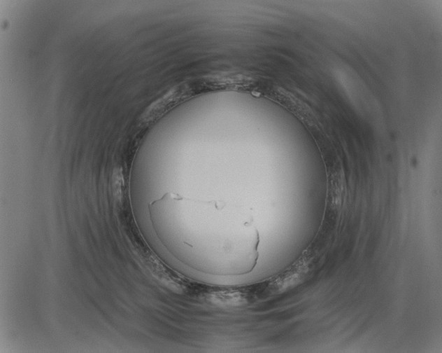 X0000083660279200703051759