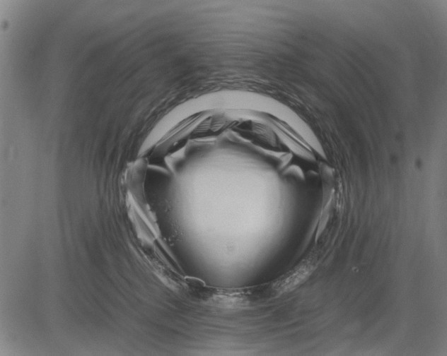 X0000083660280200703051759