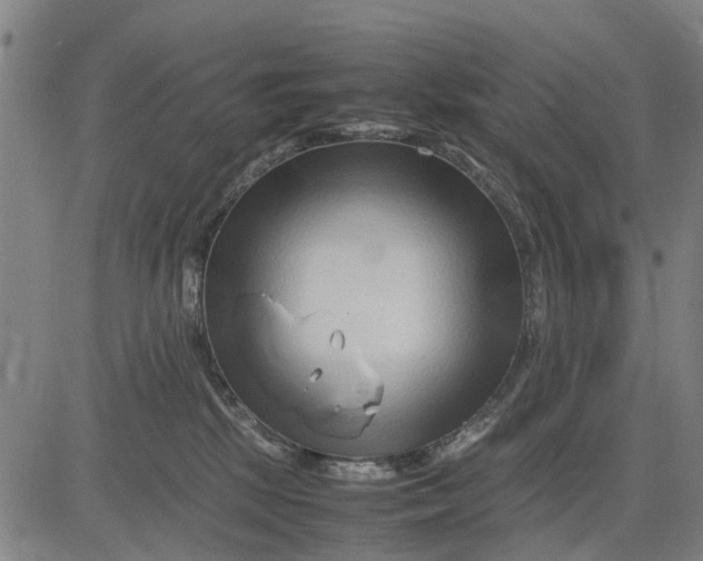 X0000083660281200703051800