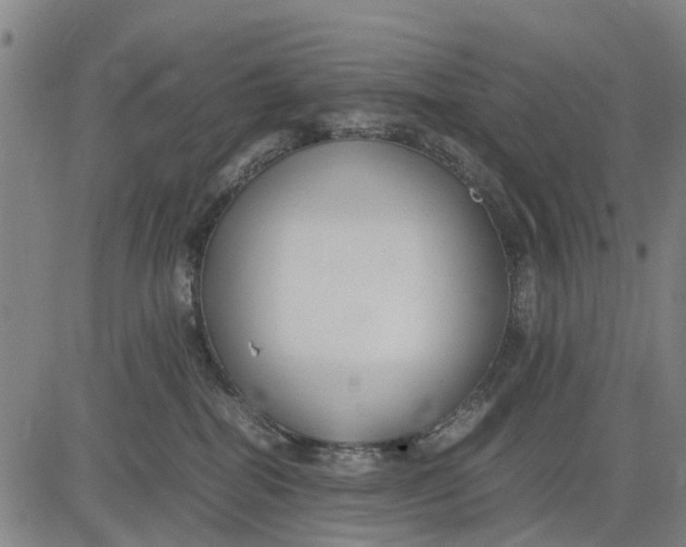 X0000083660282200703051800