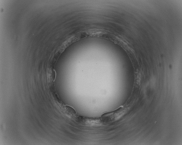 X0000083660283200703051800