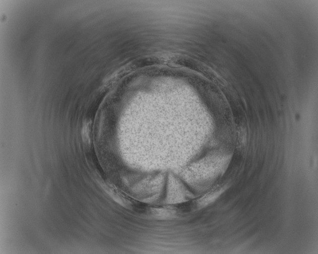 X0000083660286200703051800