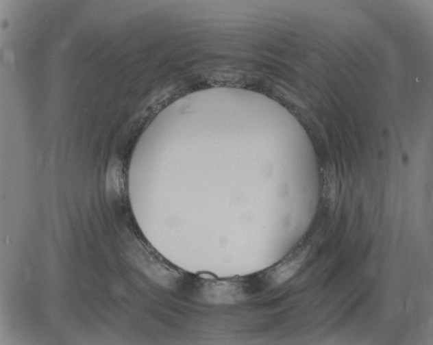 X0000083660287200703051800