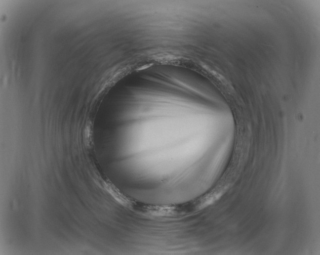 X0000083660288200703051800