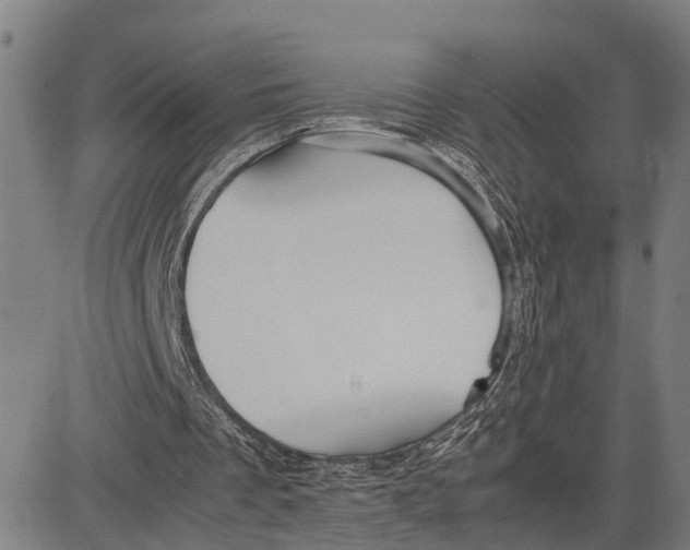 X0000083660289200703051759