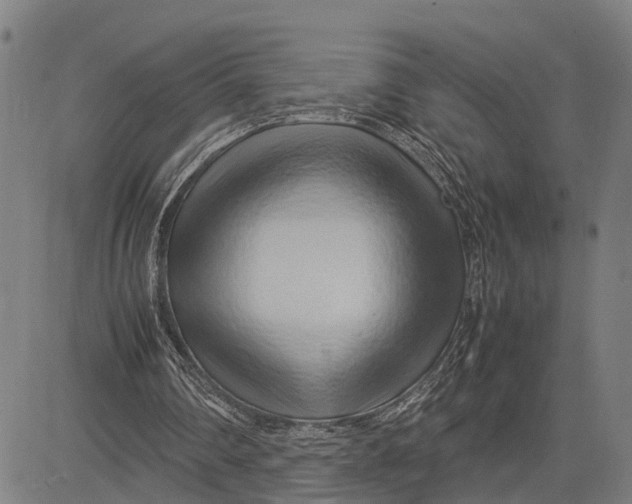 X0000083660290200703051759