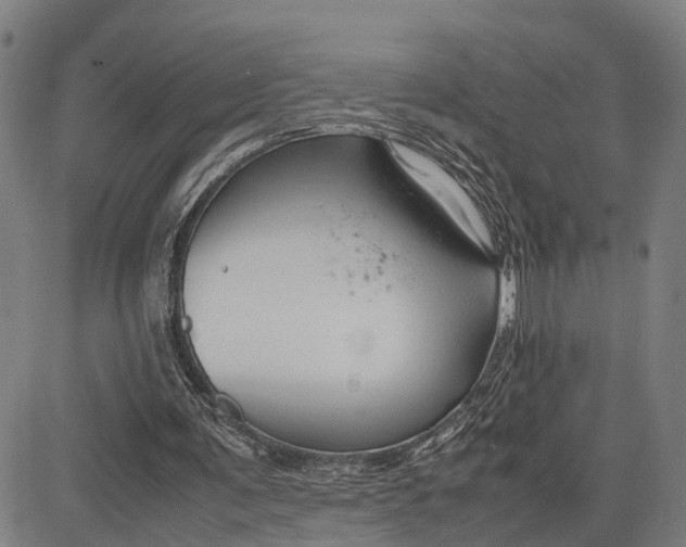 X0000083660291200703051759