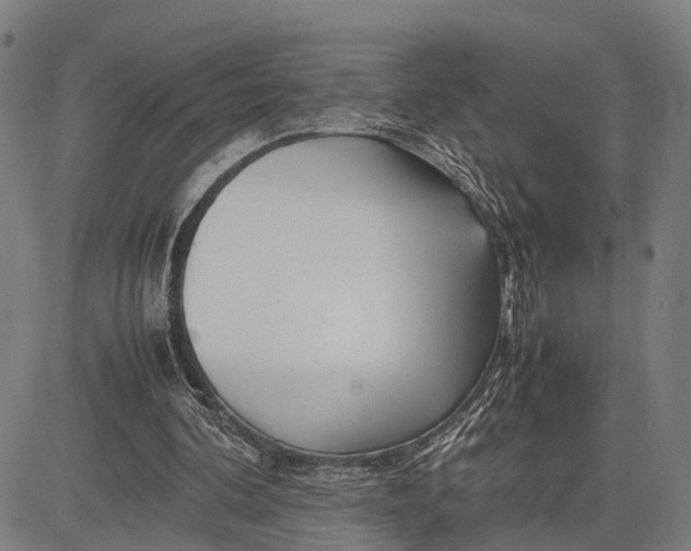 X0000083660292200703051759