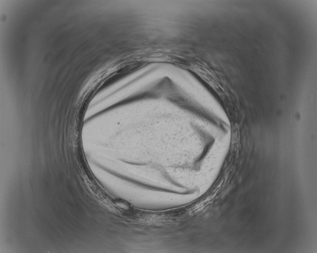 X0000083660293200703051759