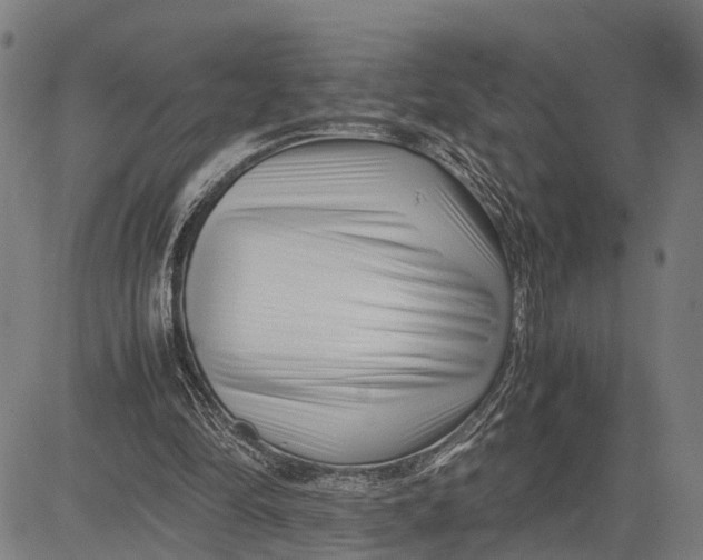 X0000083660294200703051759