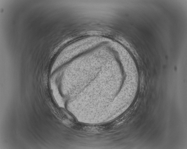 X0000083660297200703051759