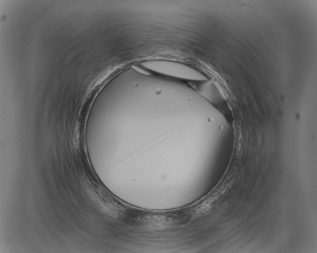 X0000083660298200703051759