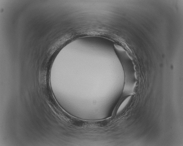 X0000083660299200703051759