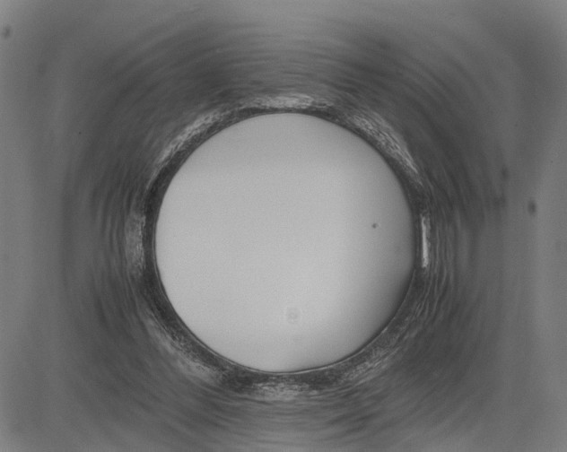 X0000083660300200703051759