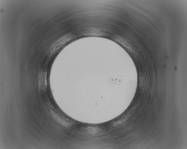 X0000083660302200703051759