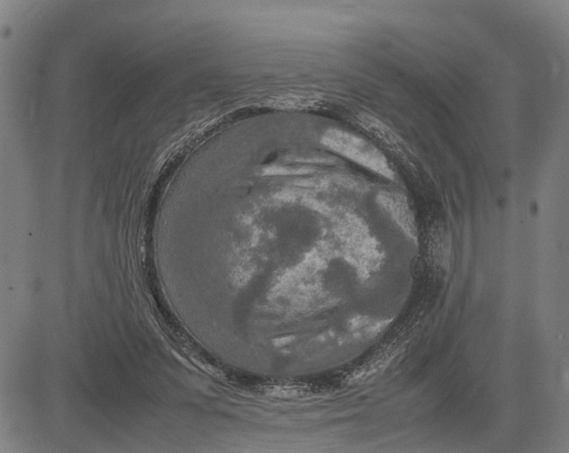 X0000083660303200703051759