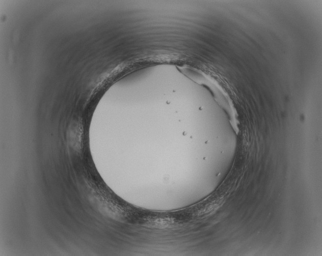 X0000083660304200703051759