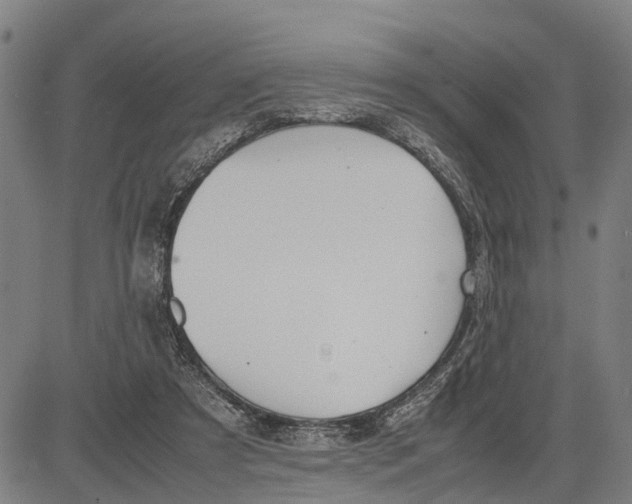 X0000083660305200703051759