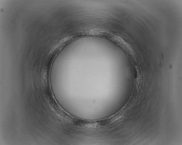 X0000083660306200703051758