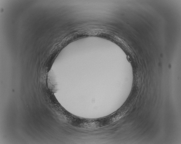 X0000083660307200703051758