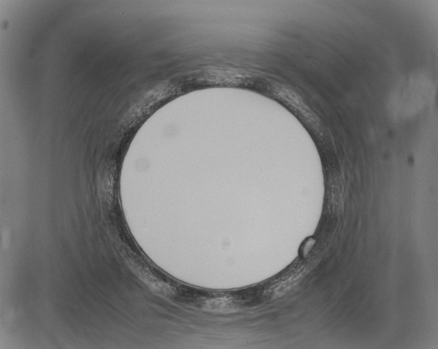 X0000083660309200703051758