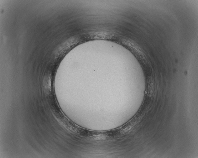 X0000083660310200703051758