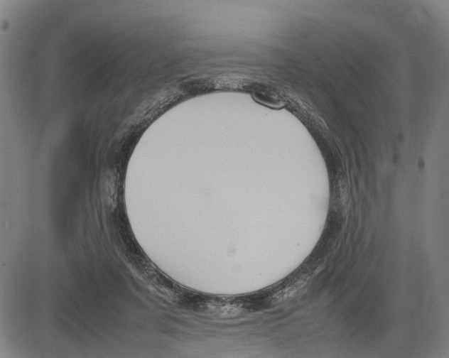 X0000083660311200703051758