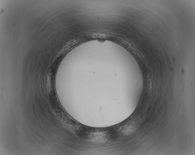 X0000083660312200703051758