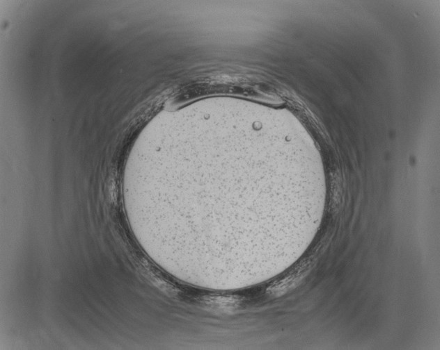 X0000083660313200703051758