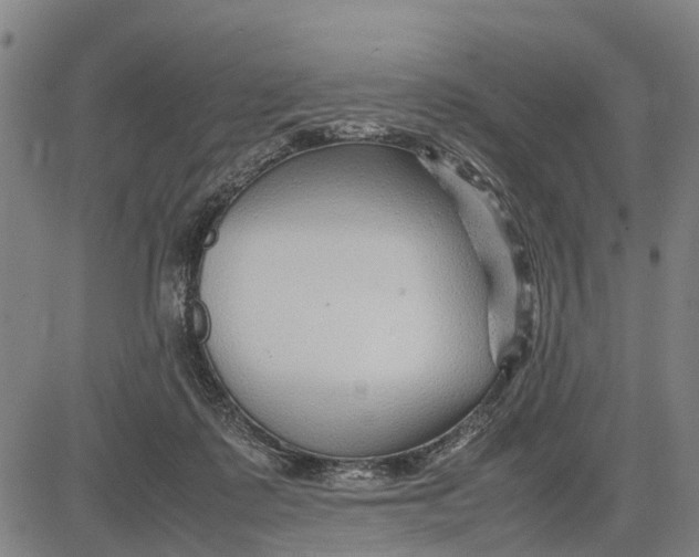 X0000083660315200703051758