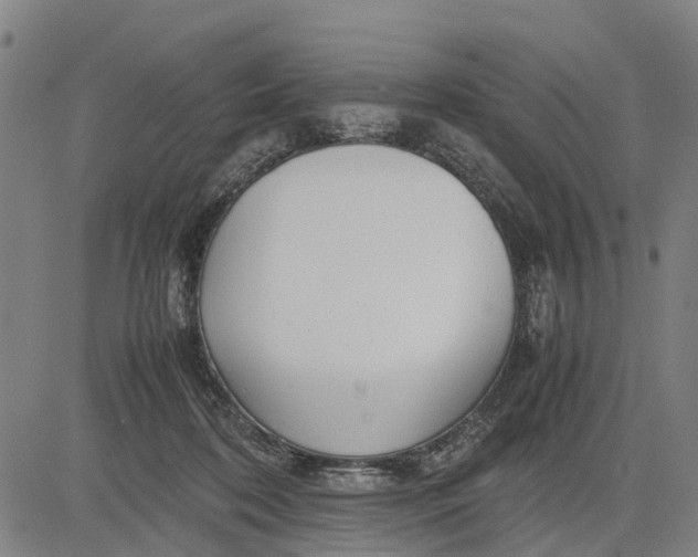 X0000083660316200703051758