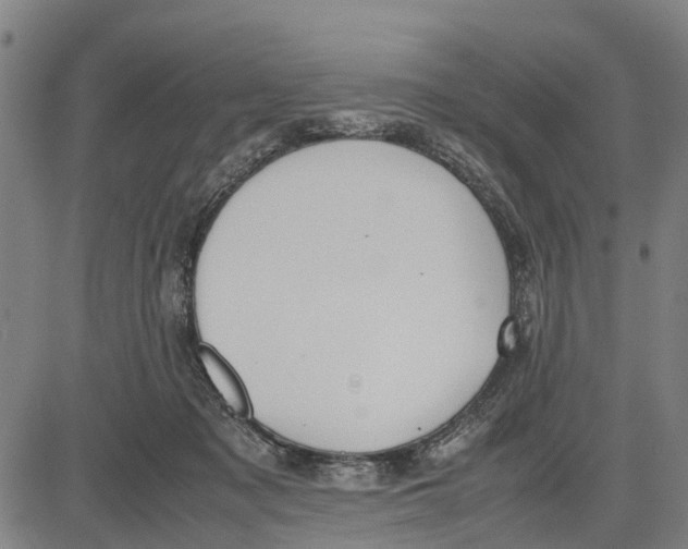 X0000083660317200703051758