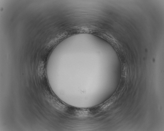 X0000083660318200703051758