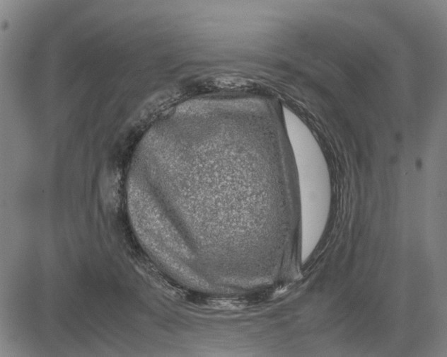 X0000083660319200703051758